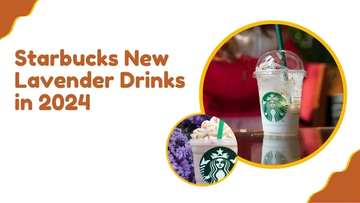 Starbucks New Lavender Drinks in 2024